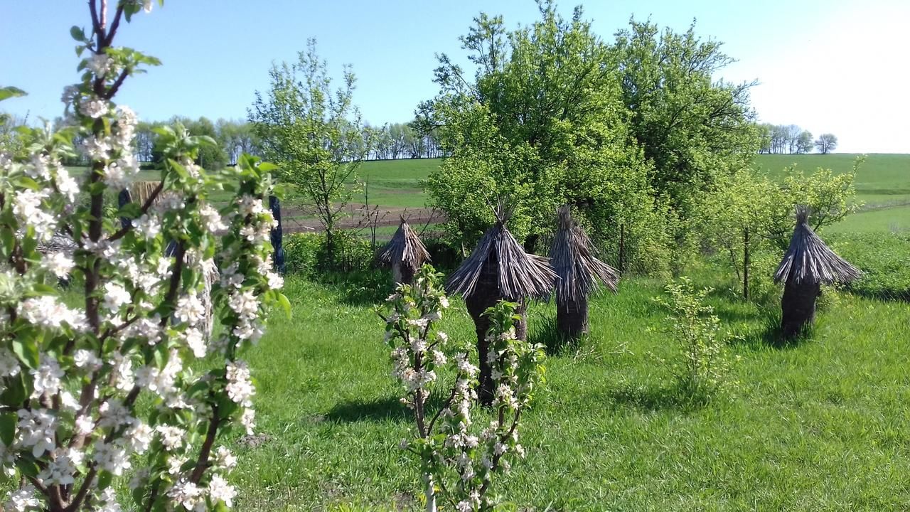 Загородные дома Koryakivskyi Rai Dmitrenki-25