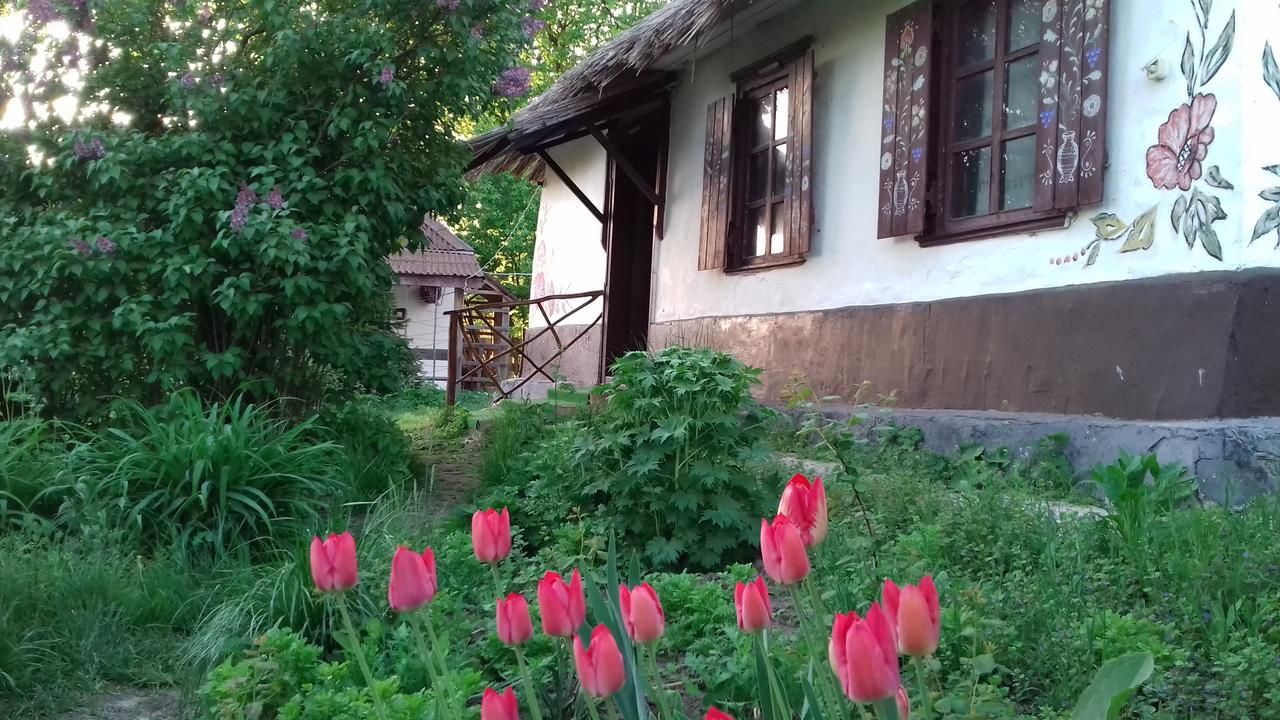 Загородные дома Koryakivskyi Rai Dmitrenki-28