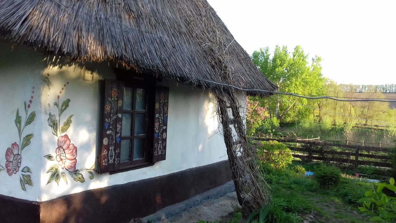 Загородные дома Koryakivskyi Rai Dmitrenki-30