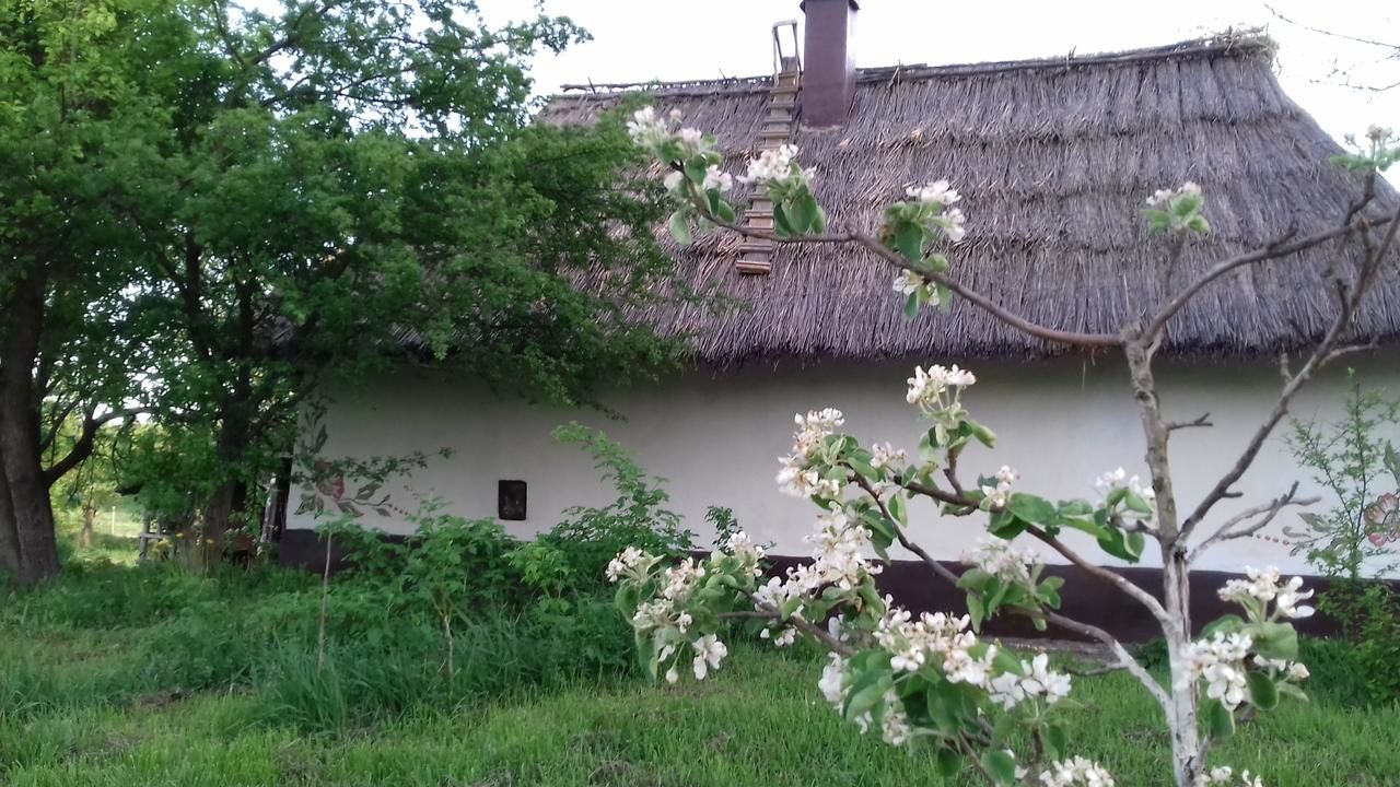 Загородные дома Koryakivskyi Rai Dmitrenki-31