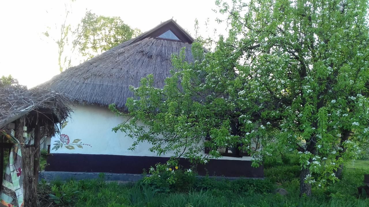 Загородные дома Koryakivskyi Rai Dmitrenki-32