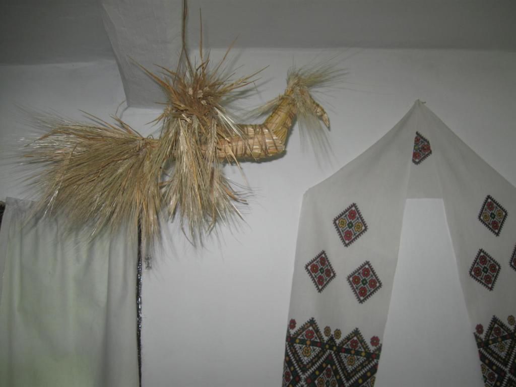 Загородные дома Koryakivskyi Rai Dmitrenki