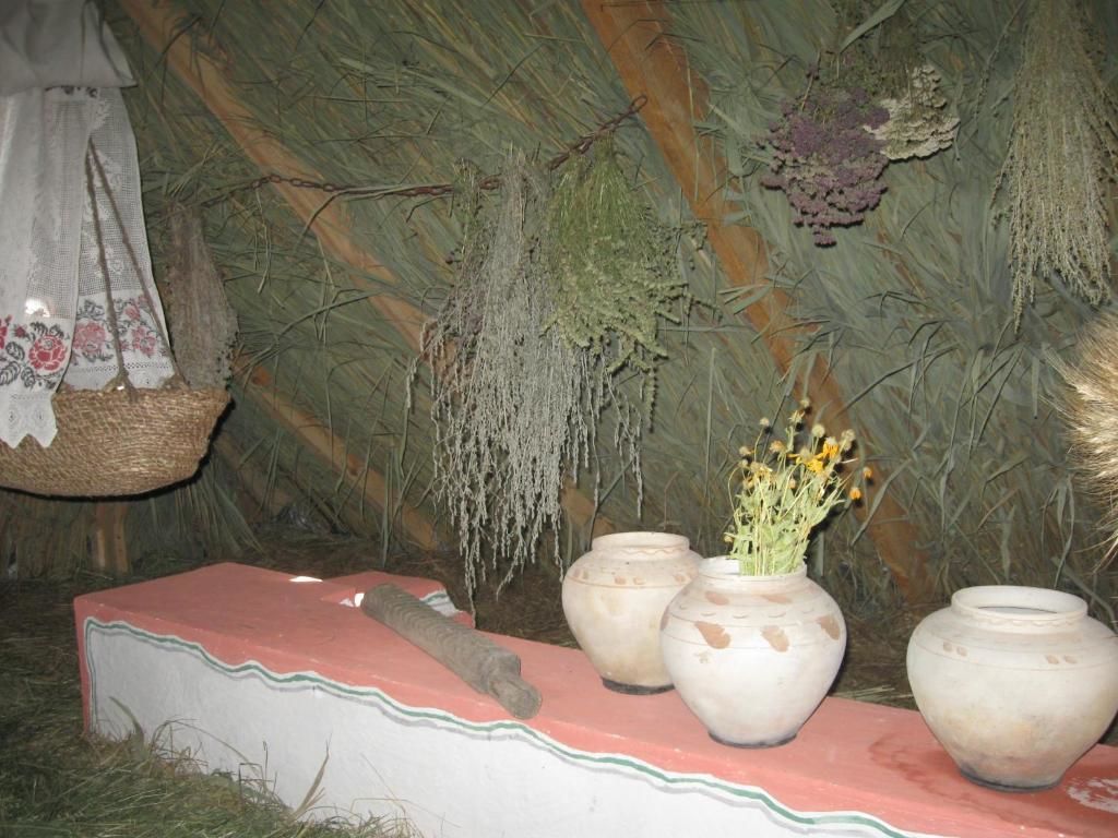 Загородные дома Koryakivskyi Rai Dmitrenki