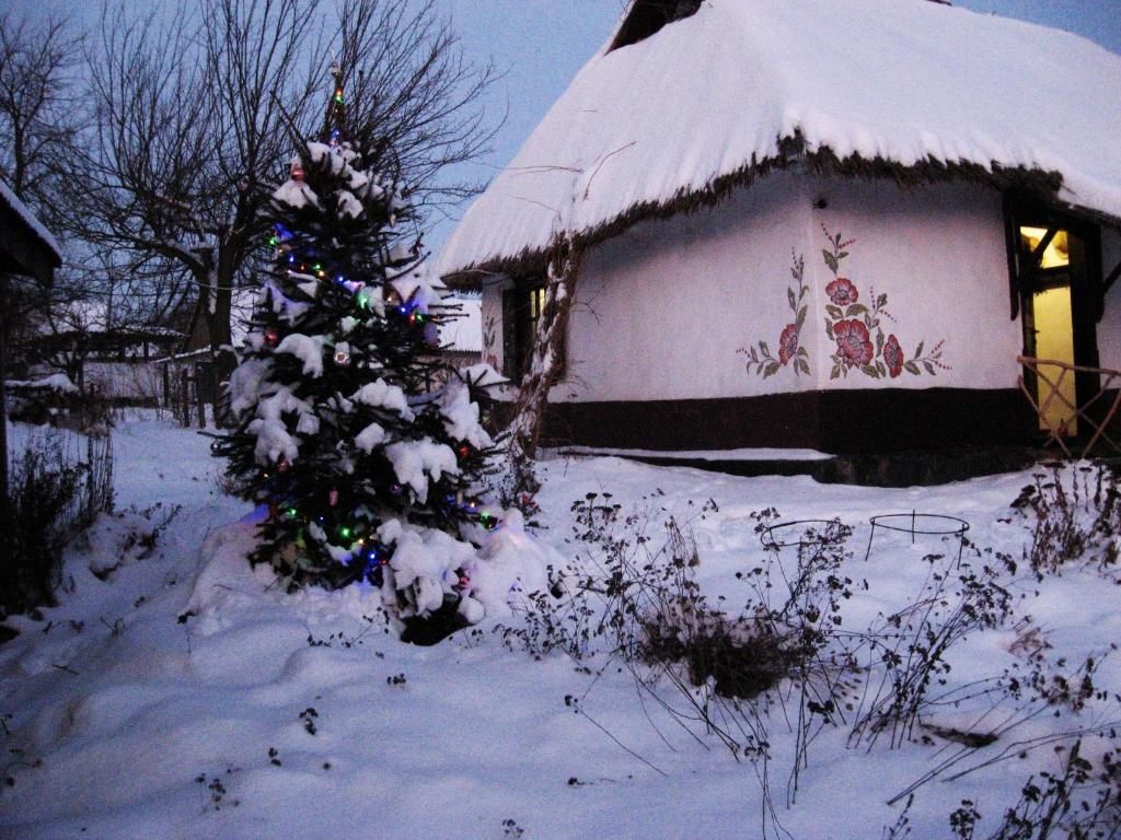 Загородные дома Koryakivskyi Rai Dmitrenki