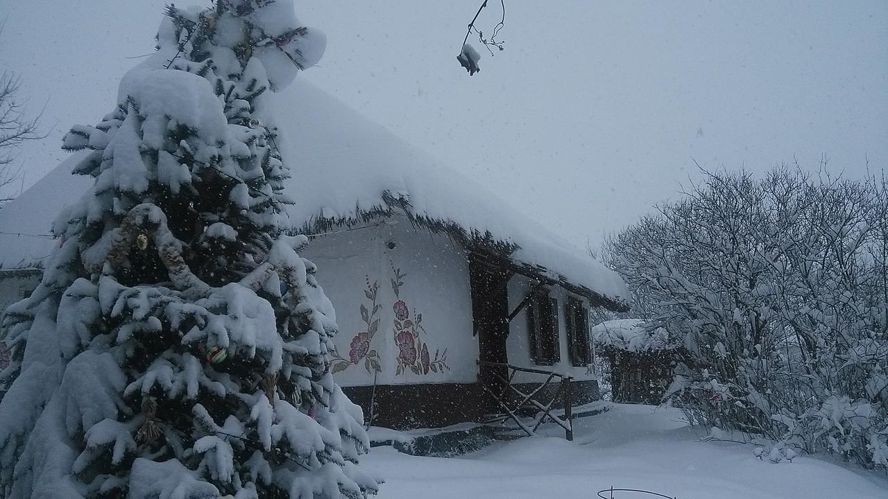 Загородные дома Koryakivskyi Rai Dmitrenki-11