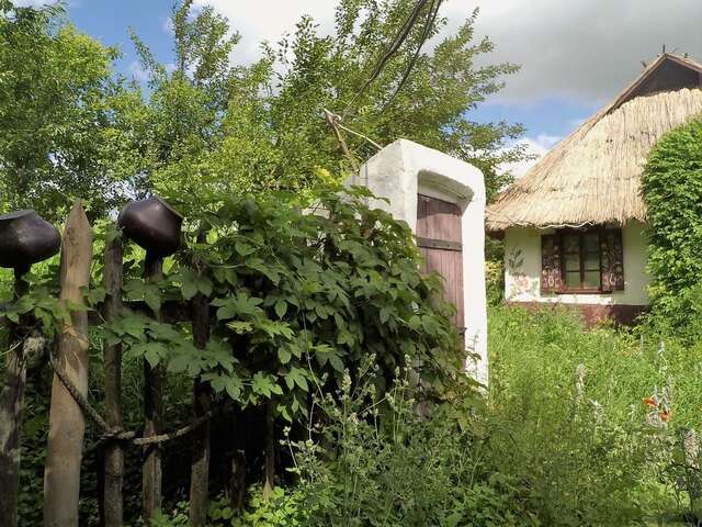 Загородные дома Koryakivskyi Rai Dmitrenki-14